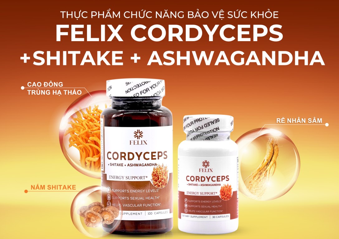 Combo 2 Hộp TPBVSK Cordyceps Shitake Ashwagandha (Tặng1 Hộp Omega 3 Costar) - Ảnh 4