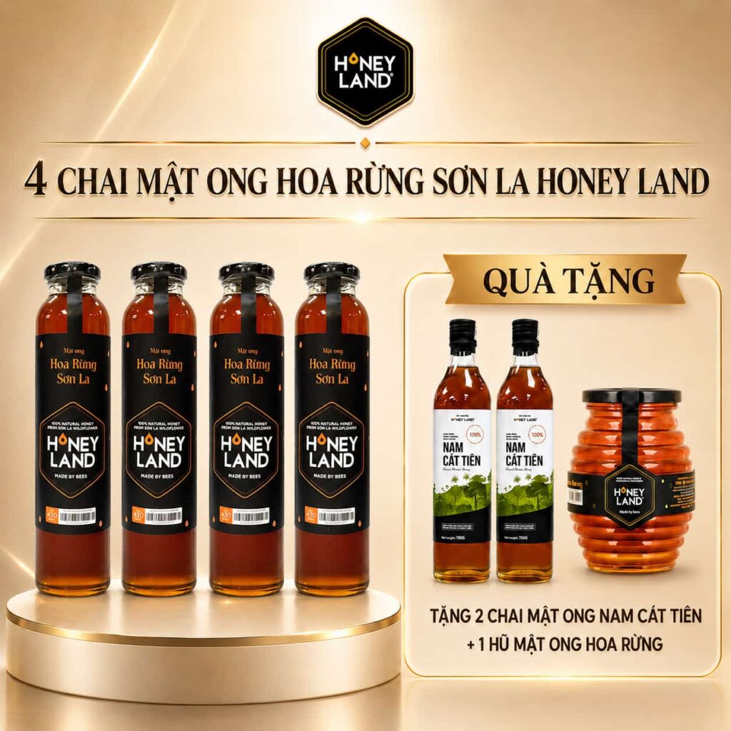 mat ong hoa rung son la