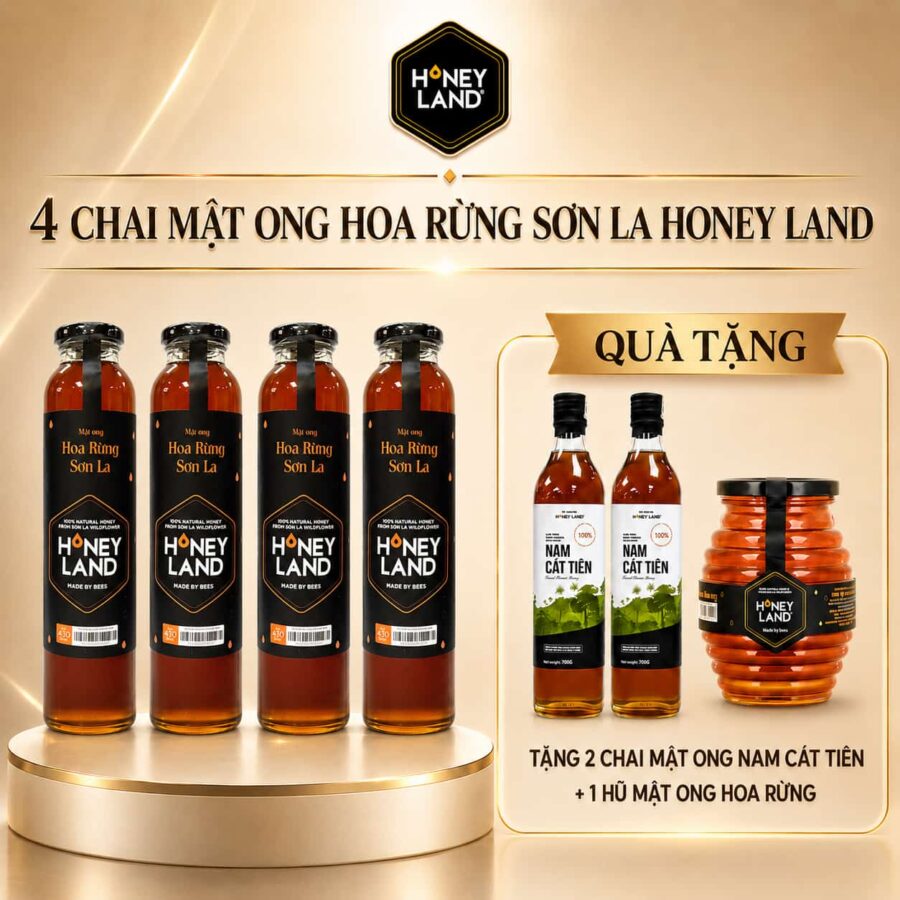 mat ong hoa rung son la