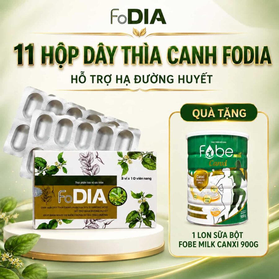 11 hop day thia canh fodia