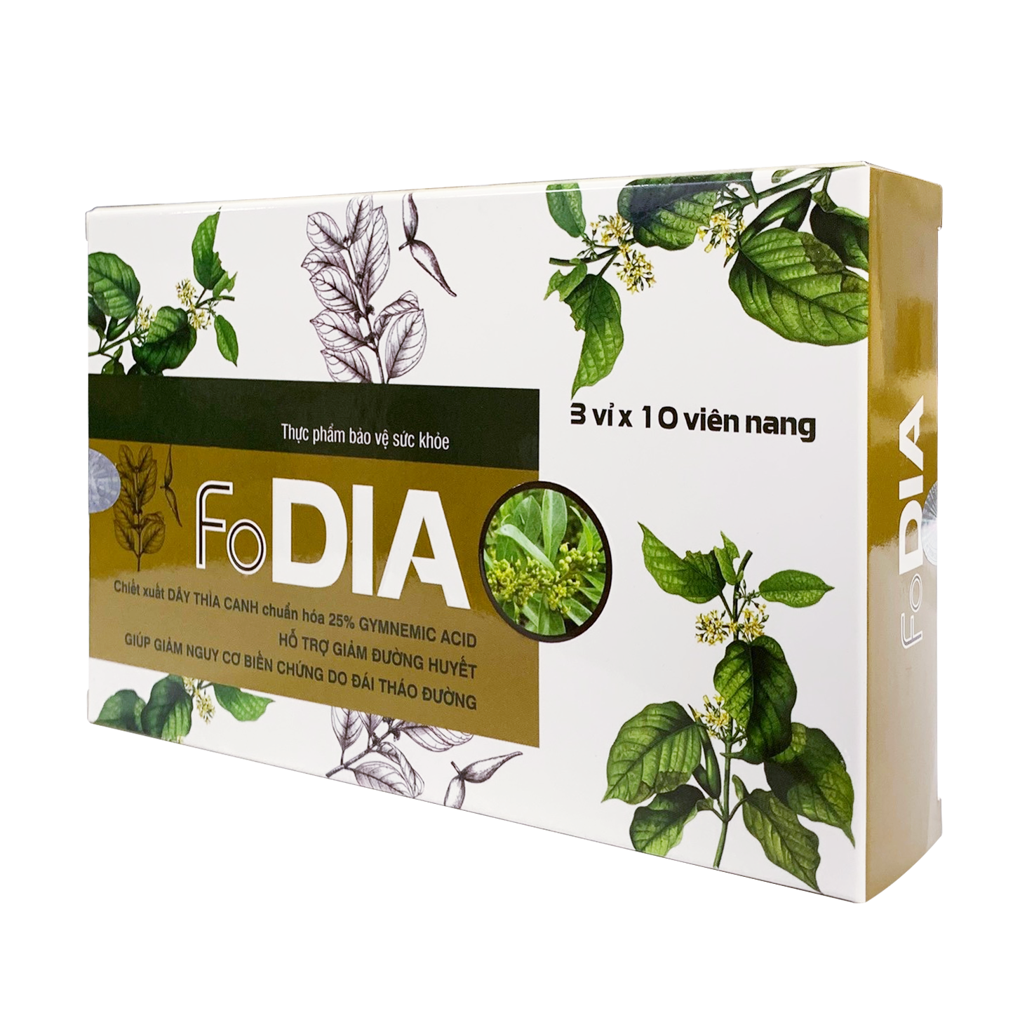 COMBO 11 hộp FODIA Dây thìa canh + 01 lon sữa bột Fobe Milk Canxi 900g - Ảnh 3