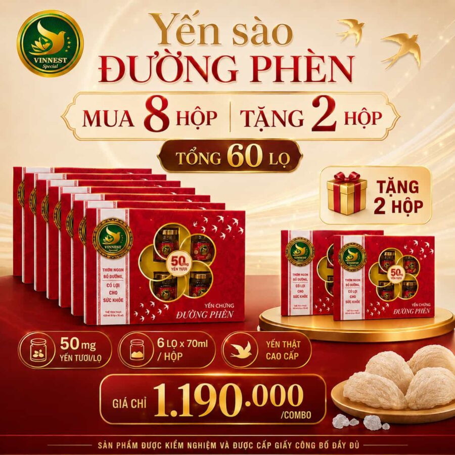 10 Hộp Yến Sào Chưng Đường Phèn Vinnest 50mg Yến Tươi